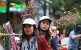 Hấp dẫn chợ hoa Hàng Lược ngày cận Tết